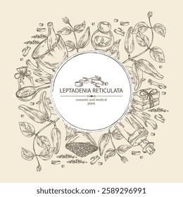 Background with  leptadenia reticulata: plant, fruits and leptadenia reticulata roots. Oil, soap and bath salt . Cosmetics and medical plant. Vector hand drawn illustration