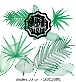 Hintergrund mit Lettering Hallo Sommer und Blätter. Broschüre, Flyer , Poster , Banner Design Template . 