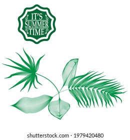 Background with Lettering its Summer time and tropic leaves. Brochure, Flyer , Poster , Banner Design Template . 