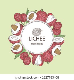 Background with lichee: lichee fruit and leaves. Vector hand drawn illustration. 