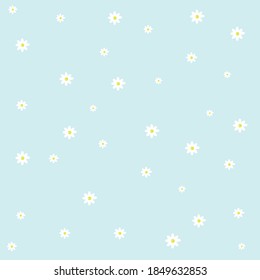 Background light blue chamomile flowers