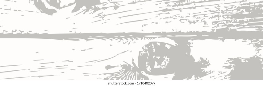 Background light surface wood texture