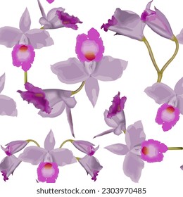 Background with lilac orchids. Delicate, spring and elegant flowers.