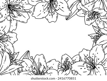 Background with lilies. Beautiful decorative plants.