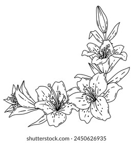 Background with lilies. Beautiful decorative plants.