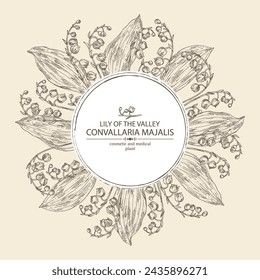 Background with lily of the valley: convallaria plant, leaves and lily of the valley flowers. Convallaria majalis. Cosmetic, perfumery and medical plant. Vector hand drawn illustration