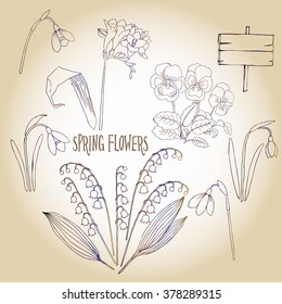 Background with  lily of the valley, galanthus and pansy. Hand drawn snowdrops flowers sketches. Vector Illustration