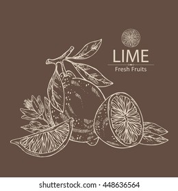 Background with lime . hand drawn