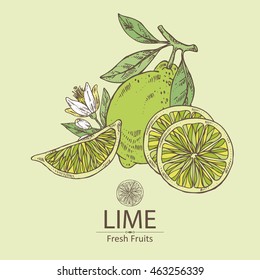 Background with lime . hand drawn