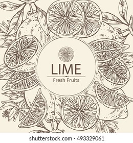 Background with lime . hand drawn 