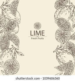 Background with lime and lime slice. Vector hand drawn illustration