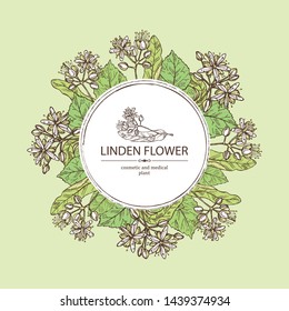 Background with linden flower. Cosmetic and medical plant. Vector hand drawn illustration