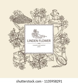 Background with linden flower: leaves and flowers. Oil, soap and bath salt . Perfumery, cosmetics and medical plant. Vector hand drawn illustration 