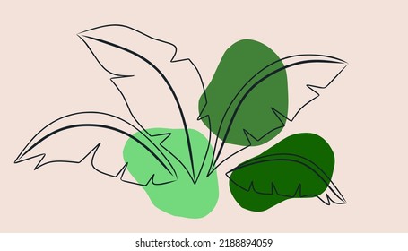 Background line art banana leaf