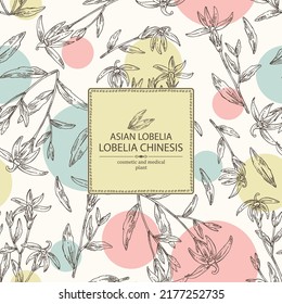 Background with lobelia chinensis: lobelia chinensis plant, leaves and lobelia chinensis flowers. Asian lobelia. Cosmetic, perfumery and medical plant. Vector hand drawn illustratio