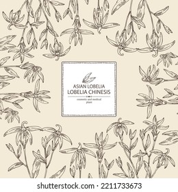 Background with lobelia chinensis: lobelia chinensis plant, leaves and lobelia chinensis flowers. Asian lobelia. Cosmetic, perfumery and medical plant. Vector hand drawn illustrat