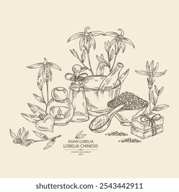 Background with  lobelia chinensis: lobelia chinensis plant, leaves and lobelia chinensis flowers. Asian lobelia. Oil, soap and bath salt . Cosmetics and medical plant. Vector hand drawn
