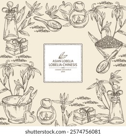 Background with  lobelia chinensis: lobelia chinensis plant, leaves and lobelia chinensis flowers. Asian lobelia. Oil, soap and bath salt . Cosmetics and medical plant. Vector hand drawn