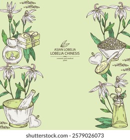 Background with  lobelia chinensis: lobelia chinensis plant, leaves and lobelia chinensis flowers. Asian lobelia. Oil, soap and bath salt . Cosmetics and medical plant. Vector hand drawn