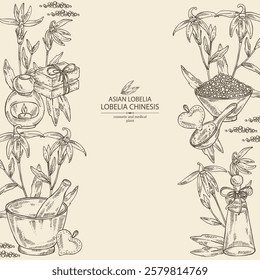 Background with  lobelia chinensis: lobelia chinensis plant, leaves and lobelia chinensis flowers. Asian lobelia. Oil, soap and bath salt . Cosmetics and medical plant. Vector hand drawn