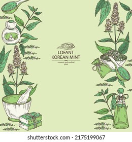 Background with lofant: lofant plant, leaves, korean mint flowers, bath salt, soap and beauty products. Wrinkle gaint hyssop. Cosmetic, perfumery and medical plant. Vector hand drawn illu