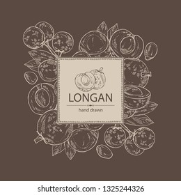 Background with longan: fruit and longan slice. Vector hand drawn illustration.