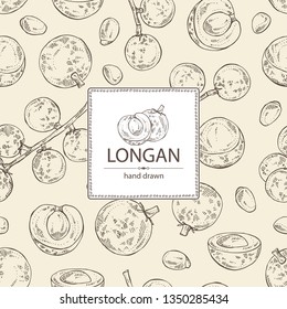 Background with longan: fruit and longan slice. Vector hand drawn illustration.