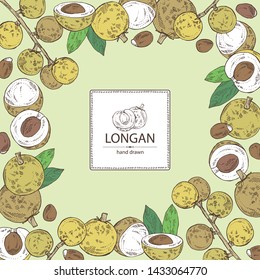 Background with longan: fruit and longan slice. Vector hand drawn illustration. 