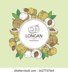 Background with longan: fruit and longan slice. Vector hand drawn illustration. 