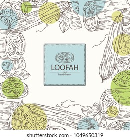 Background of loofan, natural sponge: loofan sponge, fruit and leaves. Vector hand drawn illustration.