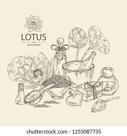 Background with lotus: bud, lotus flower and leaves, soap and bath salt . Cosmetic, perfumery and medical plant. Vector hand drawn illustration