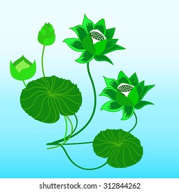  background Lotus Flower in green. Vector. Eps10
