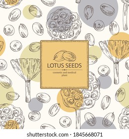 Background with lotus: lotus seed and fruits. Cosmetic and medical plant. Vector hand drawn illustration. Vector hand drawn illustration.