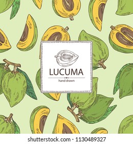 Background with lucuma: fruit, lucuma slice and leaves. Super food. Vector hand drawn illustration