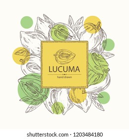 Background with lucuma: fruit, lucuma slice and leaves. Super food. Vector hand drawn illustration