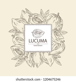 Background with lucuma: fruit, lucuma slice and leaves. Super food. Vector hand drawn illustration