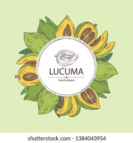 Background with lucuma: fruit, lucuma slice and leaves. Super food. Vector hand drawn illustration