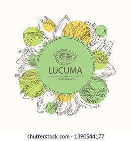 Background with lucuma: fruit, lucuma slice and leaves. Super food. Vector hand drawn illustration