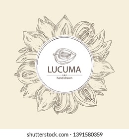 Background with lucuma: fruit, lucuma slice and leaves. Super food. Vector hand drawn illustration