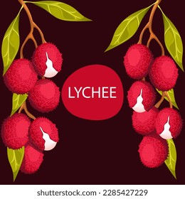 Background with lychee fruit.A web banner with ripe, juicy lychee berries on a branch.Vector illustration.