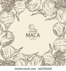 Background with Maca Peruvian. Super food. Vector hand drawn illustration