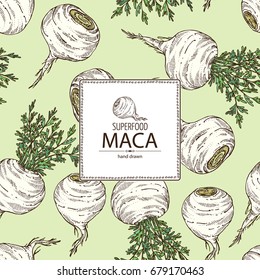 Background with Maca Peruvian. Super food. Vector hand drawn illustration.