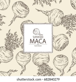 Background with Maca Peruvian. Super food. Vector hand drawn illustration.