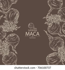 Background with Maca Peruvian. Super food. Vector hand drawn illustration.