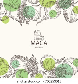 Background with Maca Peruvian. Super food. Vector hand drawn illustration.