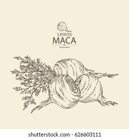 Antecedentes com Maca Peruana. Supercomida. Desenhada à mão