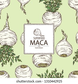 Background with  Maca Peruvian. Superfood. Vector hand drawn illustration