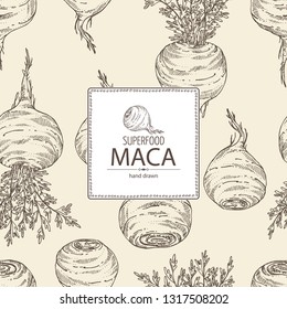 Background with Maca Peruvian. Superfood. Vector hand drawn illustration