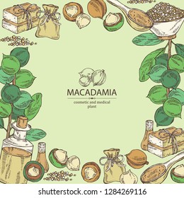 Background with macadamia: branch, leaves, macadamia nuts, soap and bath salt . Cosmetic and medical plant. Vector hand drawn illustration. 