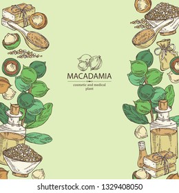 Background with macadamia: branch, leaves, macadamia nuts, soap and bath salt . Cosmetic and medical plant. Vector hand drawn illustration. 